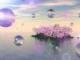 三星s8收不到验证码(三星s8收不到信息怎么办)